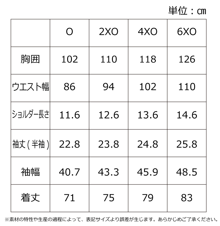 ※数量限定・背番号付※2024-25シーズン2ndオーセンティックジャージ